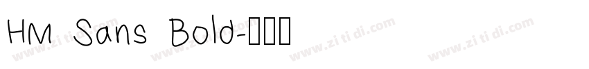 HM Sans Bold字体转换
